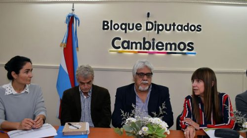 Salud brindó precisiones en materia de inmunizaciones