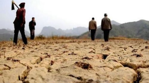 Corea del Norte se enfrenta a una catástrofe humanitaria por una gran sequía Corea del Norte se enfrenta a una catástrofe humanitaria por una gran sequía