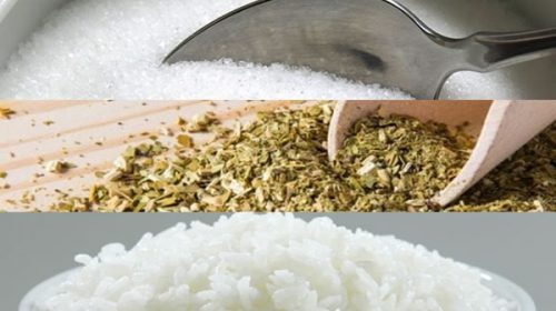 Azúcar, yerba y aceite, entre los más vendidos del Hot Sale