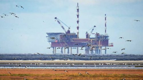 Denuncian que el Gobierno les entregó la Cuenca Malvinas a los británicos