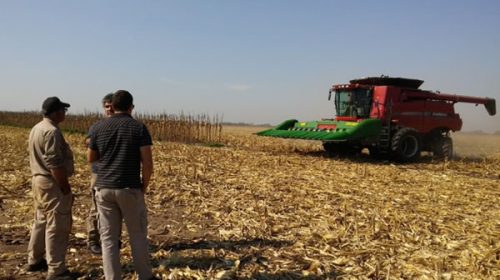 La economía volvió a caer en abril pese al impulso del agro