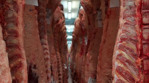 La carne argentina busca volver al mercado de Estados Unidos