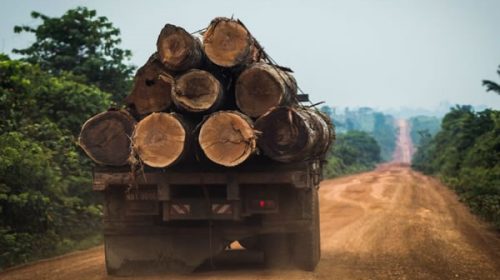 La frenética deforestación en Brasil tendrá graves consecuencias en Argentina