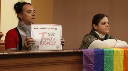 Media sanción al Proyecto de Ley que promueve y garantiza derechos en el ámbito laboral para las personas travestis, transexuales y transgénero