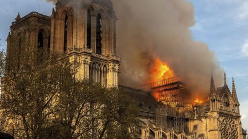 Polémica en Francia por la reconstrucción de Notre Dame: cómo y quién la hace