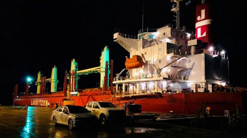 Ingresaron dos buques al puerto de Concepción del Uruguay