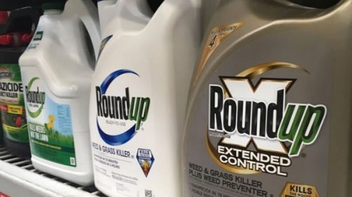 Estados Unidos: Monsanto deberá pagar US$ 2000 millones a una pareja con cáncer