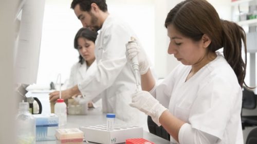 Avance argentino contra tumores Avance argentino contra tumores