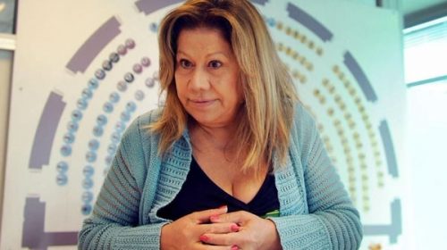 Camaño negó una discusión con Stolbizer por el armado de las listas