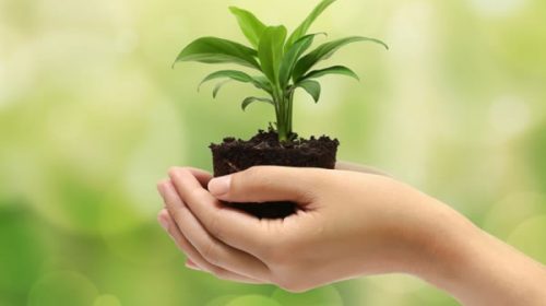 Entre Ríos se prepara para vivir la semana del ambiente