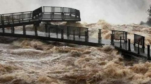 La trampa universal de las fake news