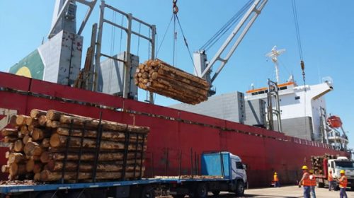 En 2018 se embarcaron desde los puertos entrerrianos más de 617.000 toneladas