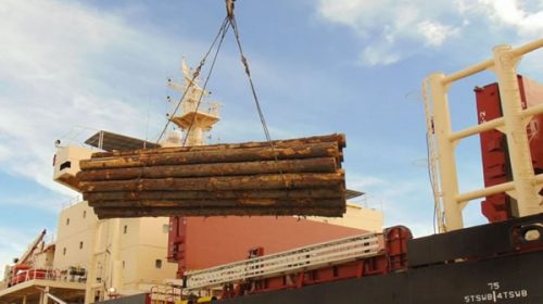 Dos nuevos buques ingresarán al puerto de “la histórica” para cargar madera