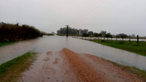 Detalle de los caminos rurales que permanecen cortados por las lluvias Detalle de los caminos rurales que permanecen cortados por las lluvias