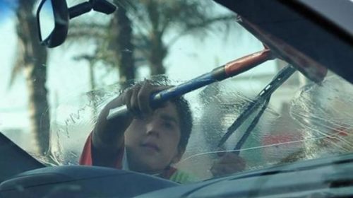 Destacan las políticas activas del Gobierno provincial para evitar el trabajo infantil