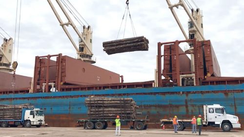 Se realiza una nueva exportación de madera desde el puerto de Concepción del Uruguay
