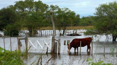 El Gobierno declaró la emergencia agropecuaria en Formosa, Córdoba y Chaco