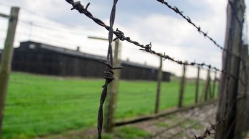 El estudio de más de medio siglo que muestra las consecuencias del Holocausto