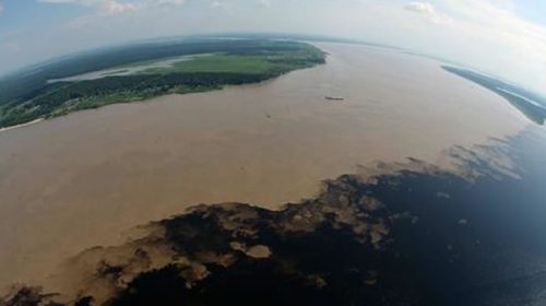 Creció más del 68% la deforestación de la Amazonia