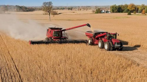 La actividad rural salvó a la economía en mayo