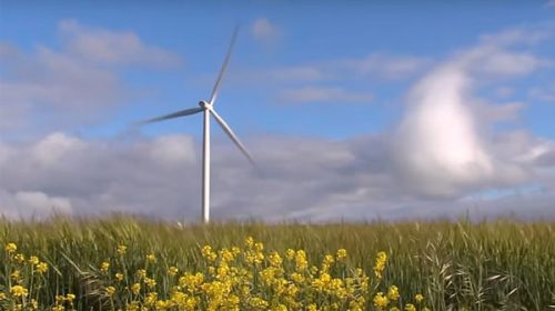 Licitación de energías renovables