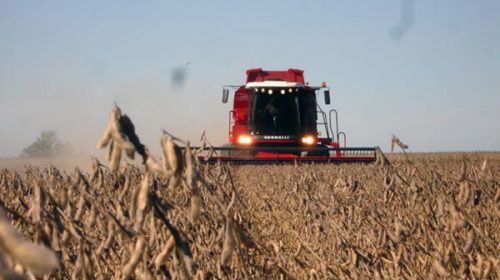 La cosecha de soja en el país finalizó con un rinde récord