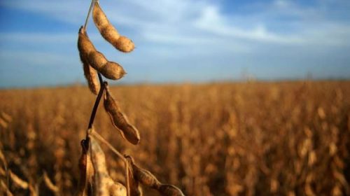 El Gobierno subirá retenciones a varios commodities y derivados