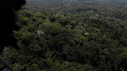 Noruega se suma a Alemania y suspende la ayuda millonaria a Brasil para frenar la deforestación