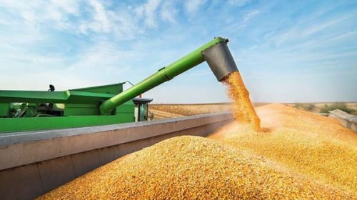 La Argentina quedó afuera del ranking de los 10 principales exportadores agrícolas