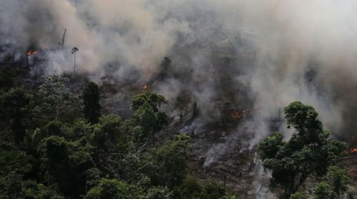 El Amazonas en llamas: incendios forestales superan los 70.000 en el año en Brasil