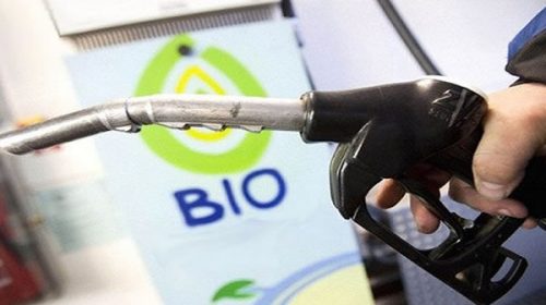 Autorizaron otro aumento del biodiesel