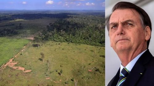 Bolsonaro descuida la Amazonia Bolsonaro descuida la Amazonia