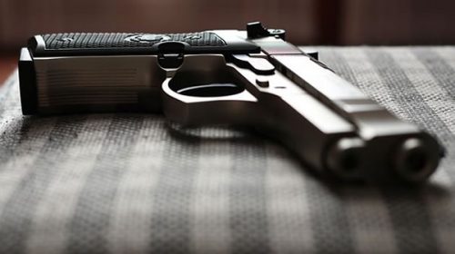 La provincia impulsa la vuelta a Concordia del Programa Nacional de Entrega Voluntaria de Armas de Fuego