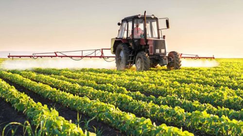 Fumigaciones: piden la inconstitucionalidad del decreto con nuevo amparo
