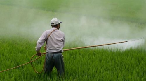 Diputados continuará con el debate del proyecto de ley que regula el uso de agroquímicos en Entre Ríos